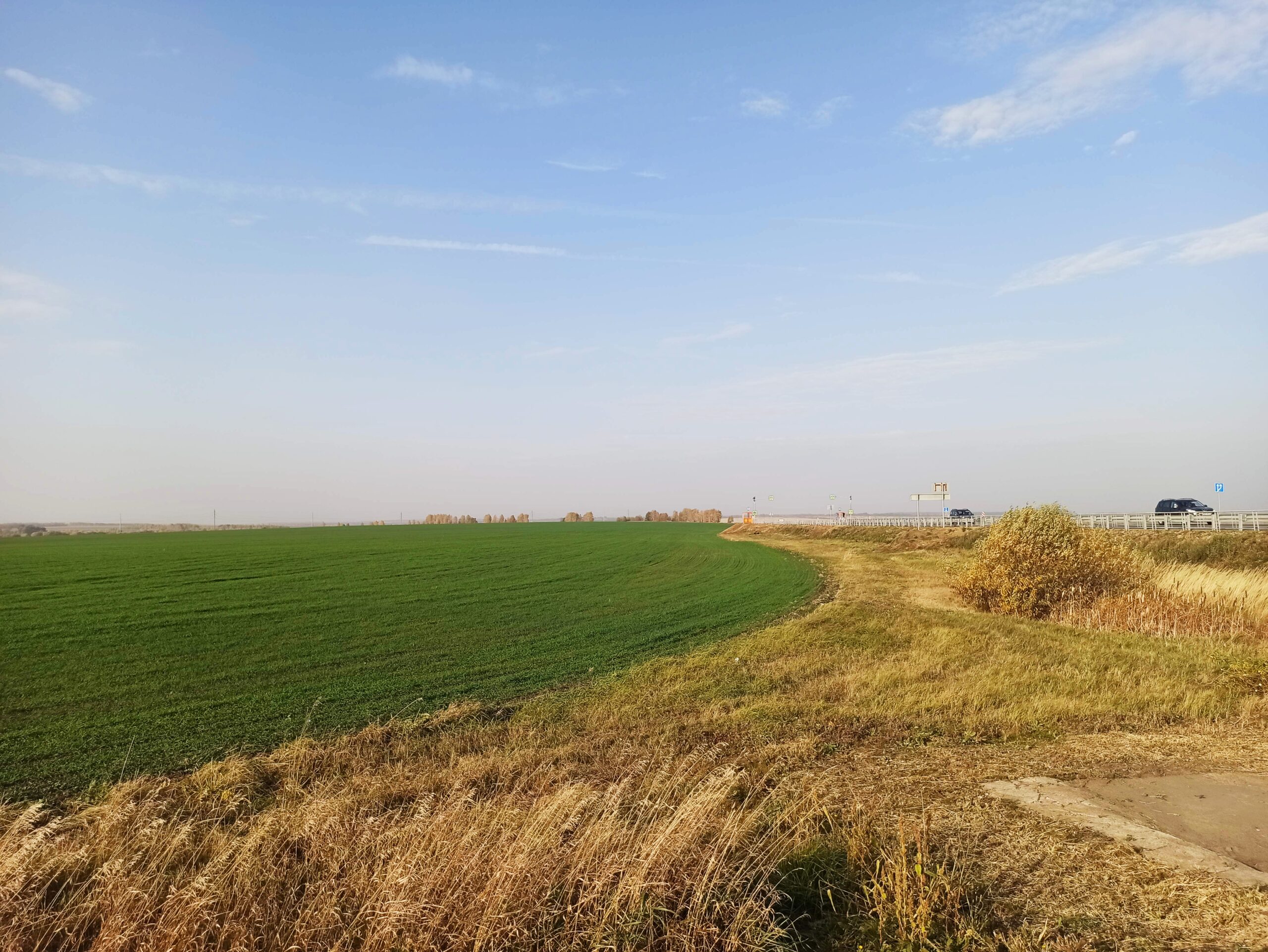 Продам или обменяю земельный участок 8 Га (800 Соток) в деревне Ново-Николаевка Рязанской области